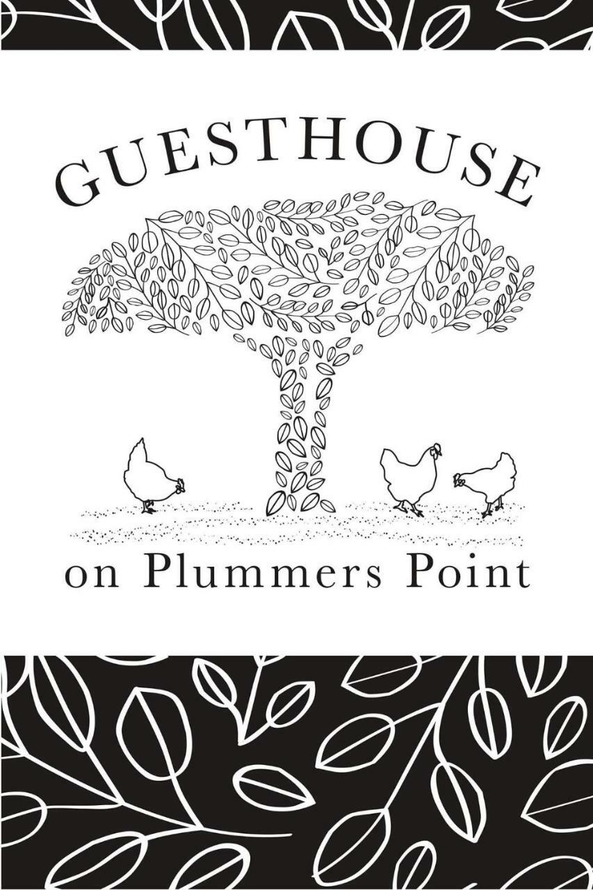 Guest House On Plummers Point Tauranga Eksteriør billede
